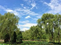 android_upload_pic-北京市朝阳区四得公园-羽毛球馆