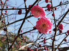 -白塘生态植物园