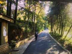 -午潮山国家森林公园