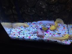 -洛阳龙门海洋馆