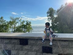 -宝安西湾红树林湿地公园