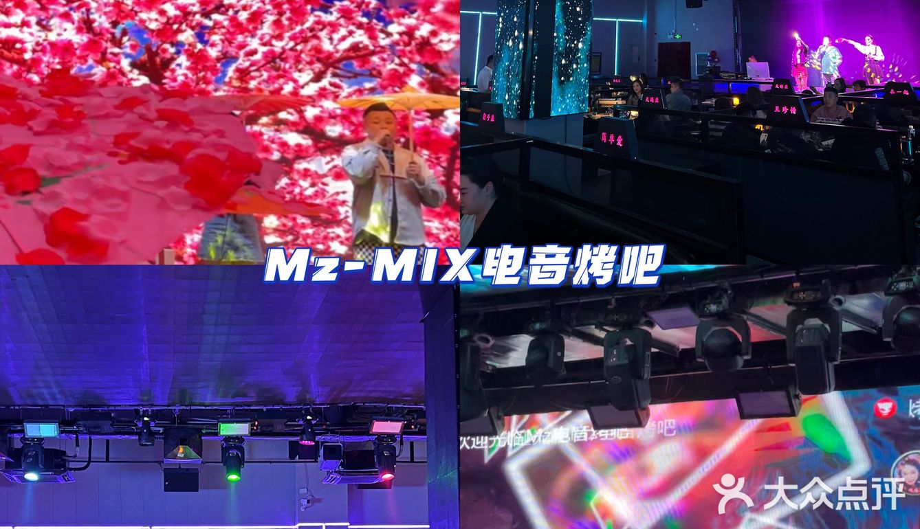 蹦迪唱歌🎤下雪下樱花的烤吧·Mz-MIX电音烤吧