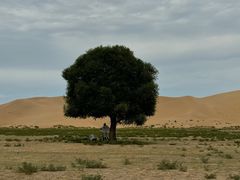 -亿利库布其七星湖沙漠生态旅游区