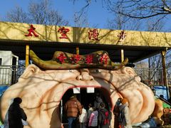 -朝阳公园游乐园