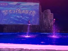 -华夏文旅海洋公园