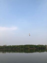 -剑鱼皮划艇俱乐部(石湖基地)