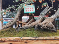 -天怡·鱼工厂(临江店)