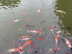 -天目湖涵田半山温泉
