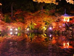 -醍醐寺