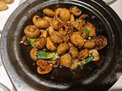 -浦东食品城(华诚大厦店)