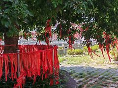 -莆田南少林寺