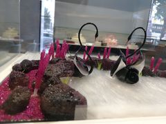 -BLACKSWAN黑天鹅(环球店)