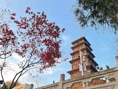 -九华山公园