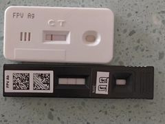 -爱贝特动物医院·猫口炎专科