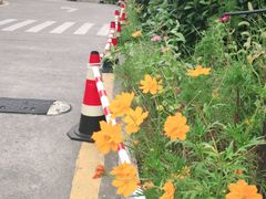 -麦当劳(浦珠路得来速店)