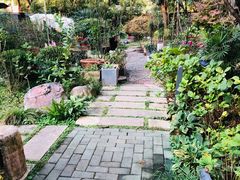 -谷咖啡·鲜花绿植花园餐厅