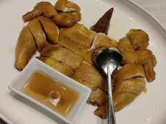 -富淳饭店(世纪公园店)