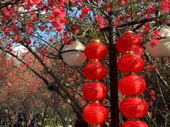 -塔子山公园