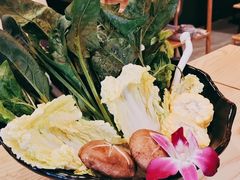 杂菇拼盘-淼福猪肚鸡·椰子鸡火锅(大沙地店)