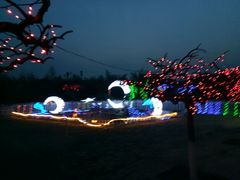 -兰陵国家农业公园