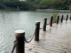 -深圳仙湖植物园