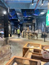 -酷嗒动物文化乐园(cutezoo西溪乐天城店)