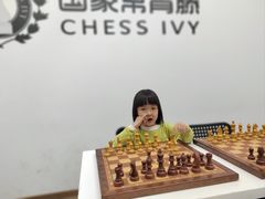 -常青藤国际象棋(新奥店)