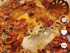 -YUOZUO渝作·川渝冒肚(崂山店)