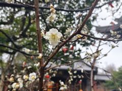 -钱王祠