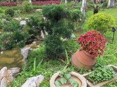 -东莞植物园