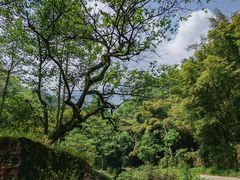 -农夫山泉峨眉山工业旅游示范基地