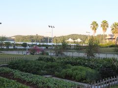-仙湖旅游度假区