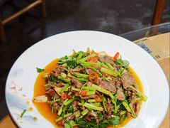 -青城甲(青城山店)