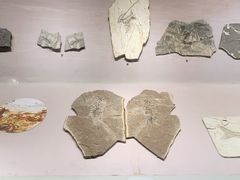 -长江文明馆