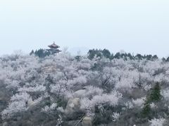 -白水寺森林公园
