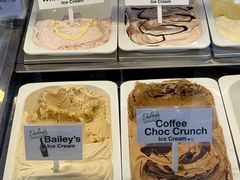 -Dooley's Premium Ice Cream