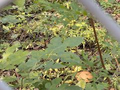 -北京宽沟会议中心