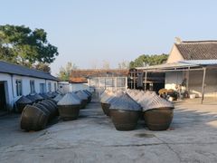 -苏州市吴中区光福窑上花果蜜饯厂