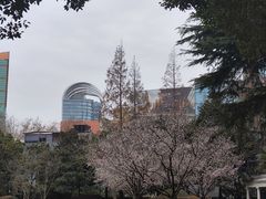 -静安公园(静安寺街道)