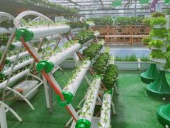 -兰陵国家农业公园