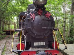 -五营红松林海景区