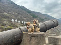 -白帝城·瞿塘峡景区