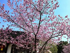 -湾里人家(旺山景区店)