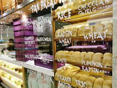 -PAPER STONE BAKERY(天环店)