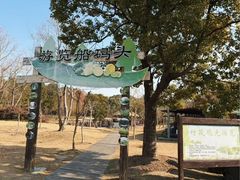 -上海长兴岛郊野公园