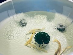 -董家湾重庆老火锅(嘉华店)