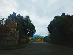 -阿依河景区