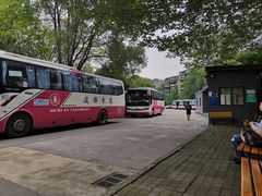 -四川大学(望江校区)