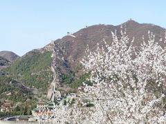 -居庸关长城