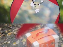 艾格吃饱了秋日果子礼盒-盒马鲜生(龙德广场店)